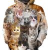 Unisex Adults 3D Printed Fashion Hoodies for Men Women Pullover Novelty Sweatshirts with Big Pockets